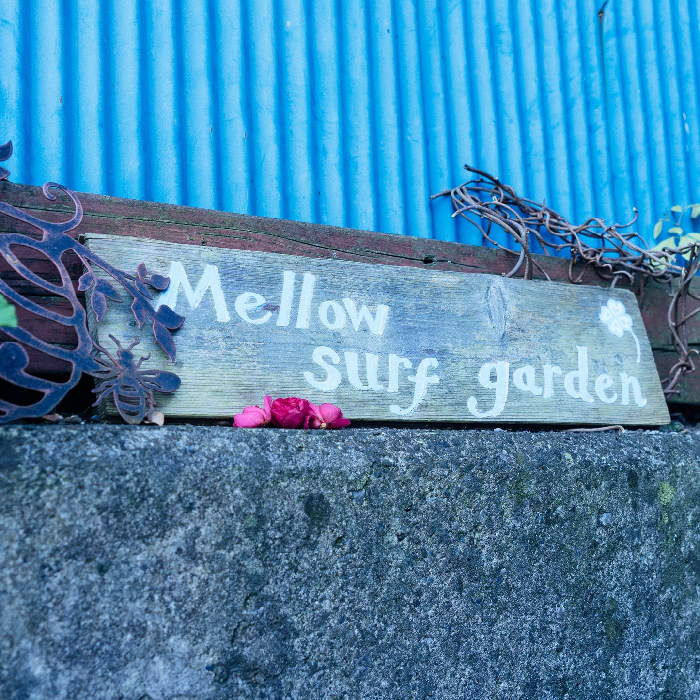 メローサーフ養蜂園のハチミツ