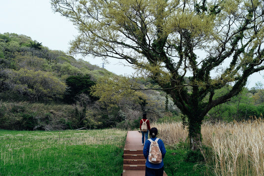 小網代の森へ行ってきた